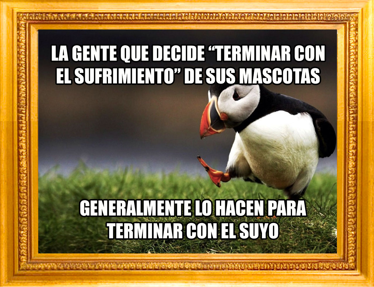 Unpopular Opinion 11 Sinfondo